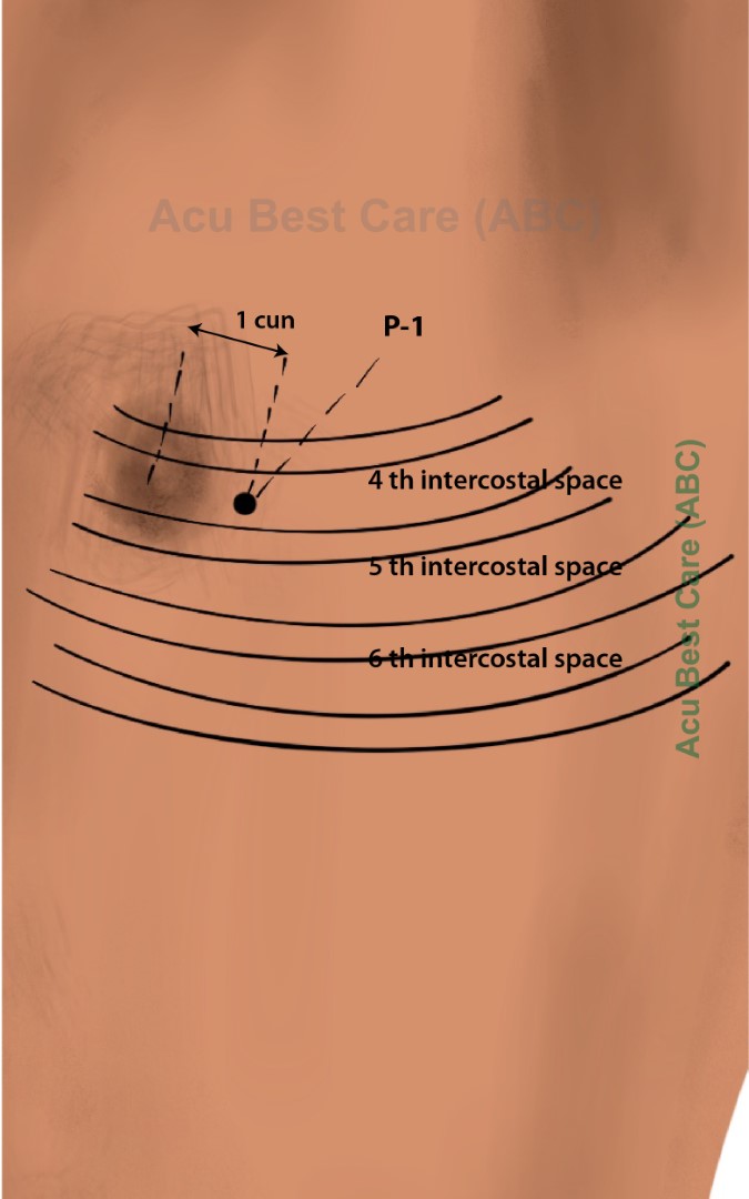 Acubestcare Meridian P-01 or PC-01